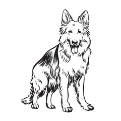 Fototapeta premium A German Shepherd dog sits and looks forward, in a sketch style.
