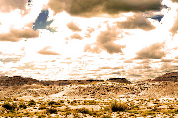 Bleak Landscape Petrified Forest National Park Arizona