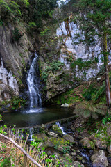 Obraz premium Limbo Waterfall in São Miguel Island, Azores, surrounded by lush greenery and volcanic rock, showcasing the natural beauty of the Azores archipelago.