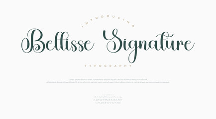 signature Font Calligraphy Logotype Script Brush Font Type Font lettering handwritten
