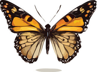 butterfly vector art