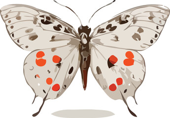 butterfly vector art