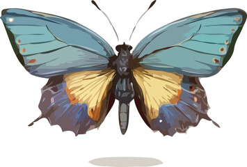 butterfly vector art