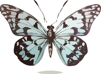 butterfly vector art