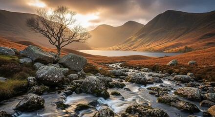 Serene Sunset Landscape:  Mountain Lake, Stream, Lone Tree, Autumnal Colors, Dramatic Light