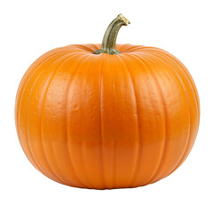 Fresh Orange Pumpkin: Symbol of Autumn and Halloween