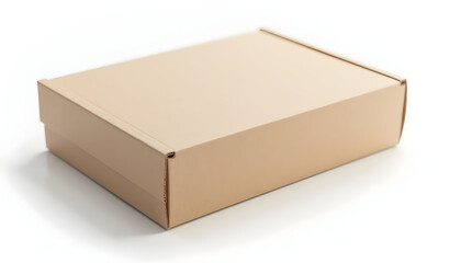 Closed Shipping Box Package on White Background
