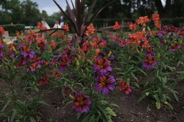 Regina Saskatchewan city scenery at Wascana Park.