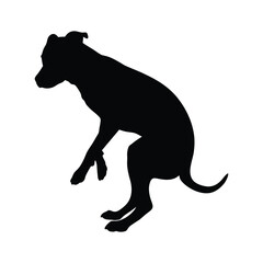 black silhouette of a dog 
