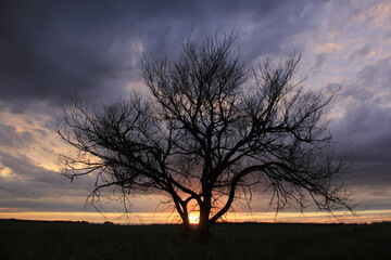 Regina Saskatchewan city scenery at Wascana Park.