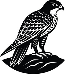 majestic falcon bird rock silhouette.