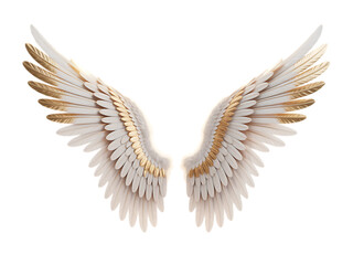 Obraz premium Detailed angel wings isolated on transparent background