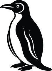 Penguin Animal Vector Graphic Illustration.