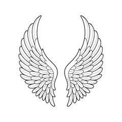 Obraz premium Detailed black angel wings isolated on transparent background