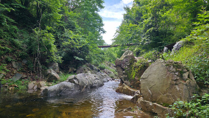 A peaceful mountain stream flows gently through a forest, surrounded by large moss-covered rocks and dense green trees. A small wooden log bridge spans across the stream under a blue sky. Ideal for co