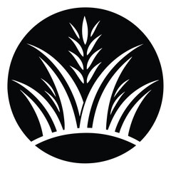 rice paddy vector icon