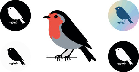 Illustration of a robin bird with various bird icons in circles on a light gray background