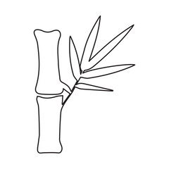 Bamboo line icon