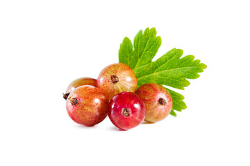 Ripe gooseberries with leaves isolated on white.