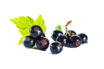 Ripe blackcurrant berries with leaves isolated on white.