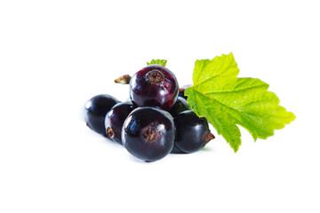 Ripe blackcurrant berries with leaves isolated on white.