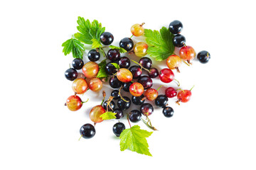 Ripe blackcurrant and gooseberry berries with leaves isolated on white.