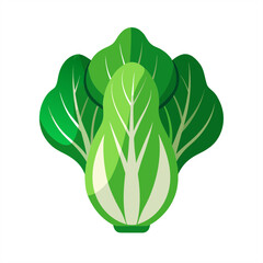 bok choy on transparent background