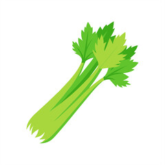 Fototapeta premium celery on transparent background