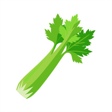 celery on transparent background