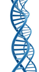 A blue DNA double helix structure on a transparent background. The strands twist elegantly, showcasing the intricate design of genetic material.