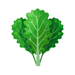 kale on transparent background