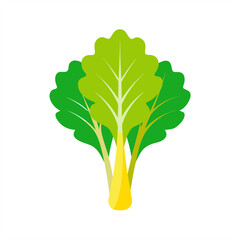 mustard greens on transparent background