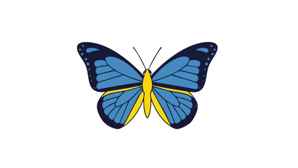 Colorful Butterfly Illustration on Black Background. This illustration features butterfly, insect, nature.