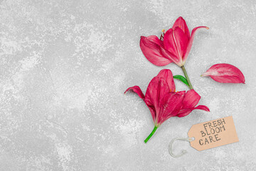 Skincare cosmetics concept with red lily on stone concrete background, flat lay. Natural selfcare