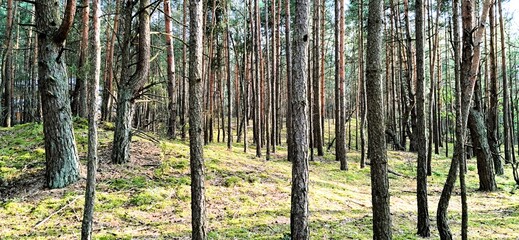 zalew zegrzyński zegrze południowe jezioro zbiornik © mobile