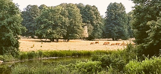 zegrze południowe zalew zegrzyński jezioro © mobile