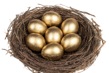 Golden eggs in a bird's nest, wealth concept