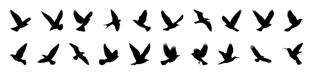  flock of flying birds silhouettes depicted in various positions