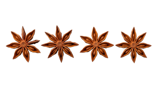 Four reddish-brown, star-shaped star anise spice pods with visible seeds, meticulously arranged in a horizontal line from a top-down view on a transparent background with ample negative space and
