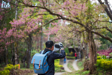 Asian man use professional digital camera take a photo. Smiling male photographer look at photo...