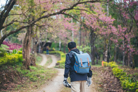Asian man use professional digital camera take a photo. Smiling male photographer look at photo film camera outdoors. Mature adult man shooting photo in green nature park. Beautiful nature men hobby