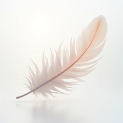 Obraz premium Glossy white feathers in soft mist with glowing light for premium product banner or background