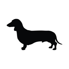 Dachshund dog silhouette vector
