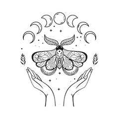 Moth butterfly vector illustration. Black simple butterfly on a white background. Esoteric tattoo illustration of celestial butterfly and moon cycle.