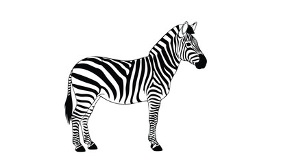 Naklejka premium Zebra Silhouette Against Black Background. This illustration features zebra, silhouette, animal.