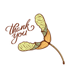 Thank you words on a minimalistic autumnal card with winged maple seed in engraving style. Good for social media post, or greeting card to thanksgiving day