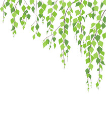 Side Corner  Border  with Green Birch Branches