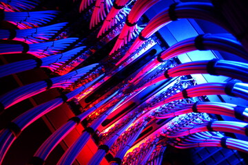 Colorful Network Cables in Server Room