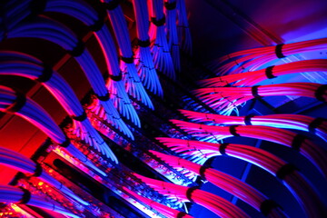 Colorful Network Cables in Dim Lighting