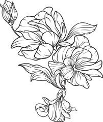 Intricate line bouquet featuring layered petals, delicate buds, and textured foliage an elegant monochrome arrangement with timeless botanical charm